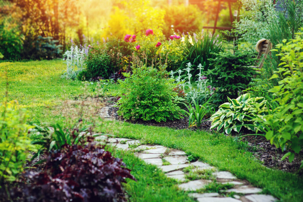 garden plants along path
